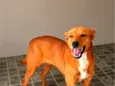 Samy