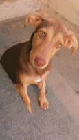 Jade
