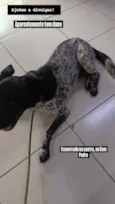 não sei, chamo de amigo