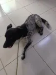 não sei, chamo de amigo