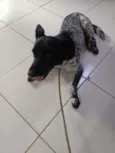 não sei, chamo de amigo