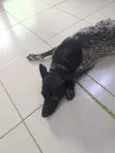 não sei, chamo de amigo