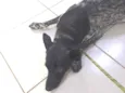 não sei, chamo de amigo