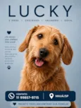 Lucke 