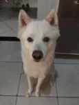 BOB
