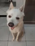 BOB