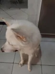 BOB