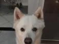 BOB