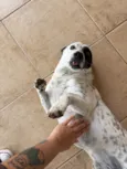 Jack