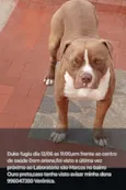 Duke