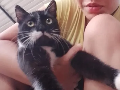 Gato raça SRD-ViraLata idade 6 ou mais anos nome Bob Dylan