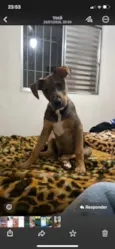 THÉO