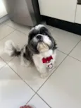 Billy