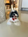 Billy