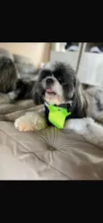 Billy