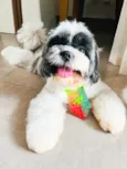 Billy