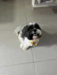 Billy