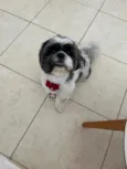 Billy