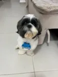 Billy