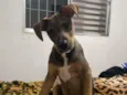 THÉO