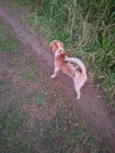bumbum 