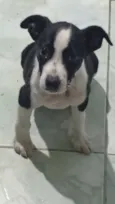 vc pode escolher o nome 