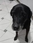 Tim