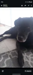 Tim
