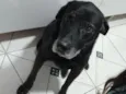 Tim