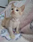 Lena 