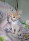 Lena 