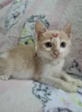 Lena 