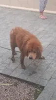 não sei