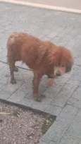 não sei