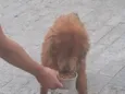 não sei