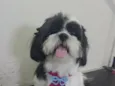 Baruque
