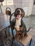 Cloe
