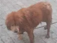 não sei