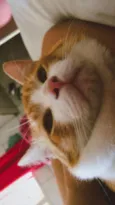 Simba