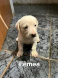 sem nome 