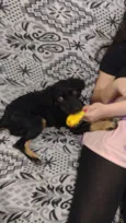 Chiquinha