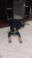 Chiquinha