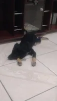 Chiquinha
