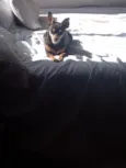 Milly