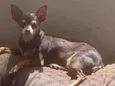 Milly