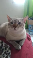 Oliver