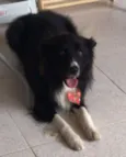 Billy