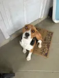 Spike 