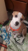 Zé