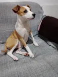 Zé